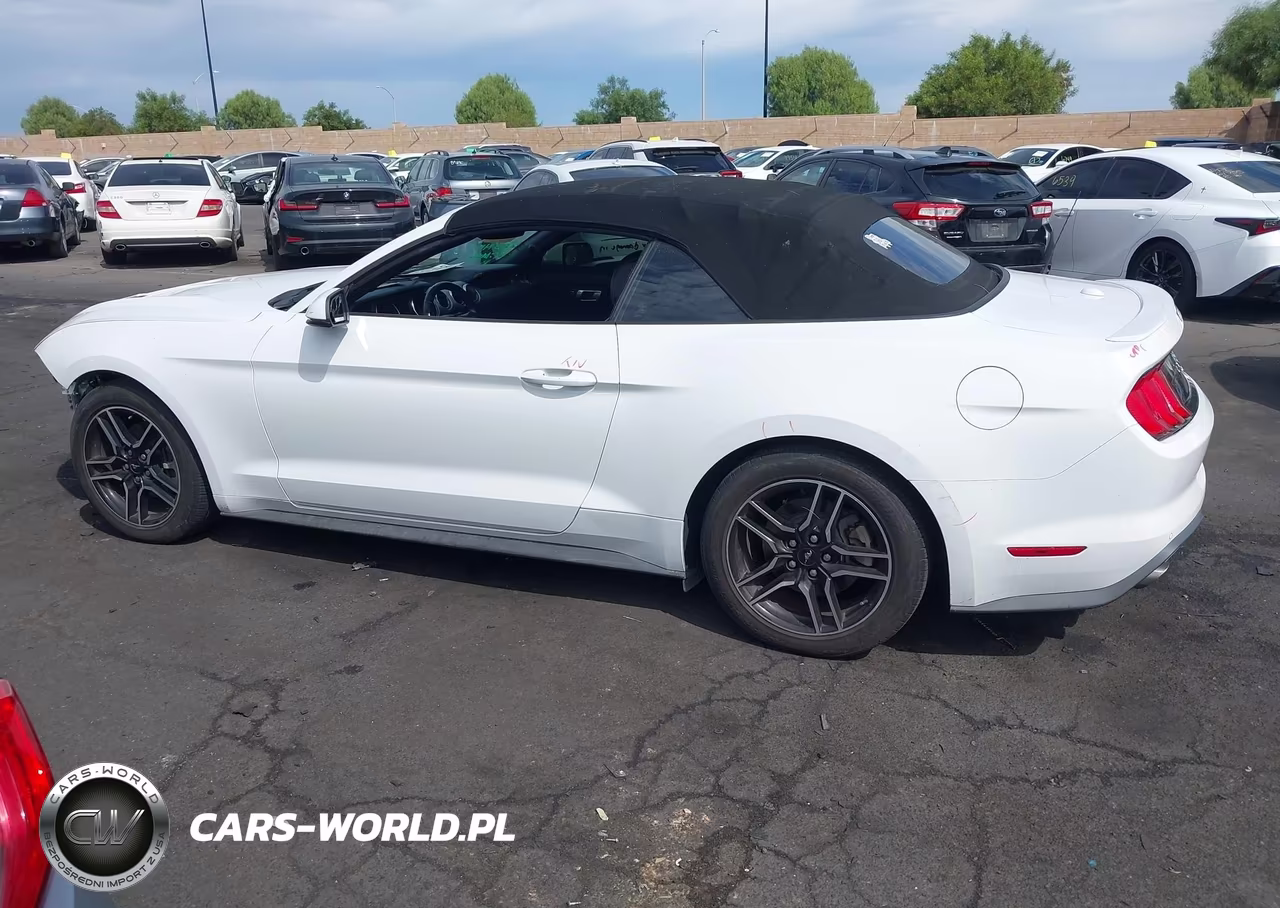 2018 Ford Mustang Ecoboost Premium VIN:1FATP8UH7J5142654 - 15