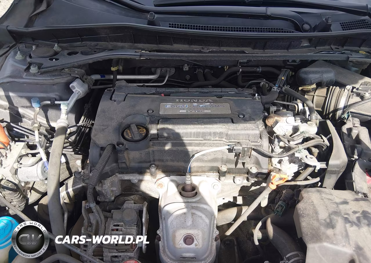 2013 Honda Accord Ex-L VIN:1HGCR2F88DA196931 - 10