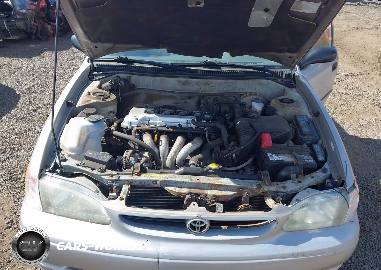 2000 Toyota Corolla Ce VIN:1NXBR12E8YZ354698 - 10