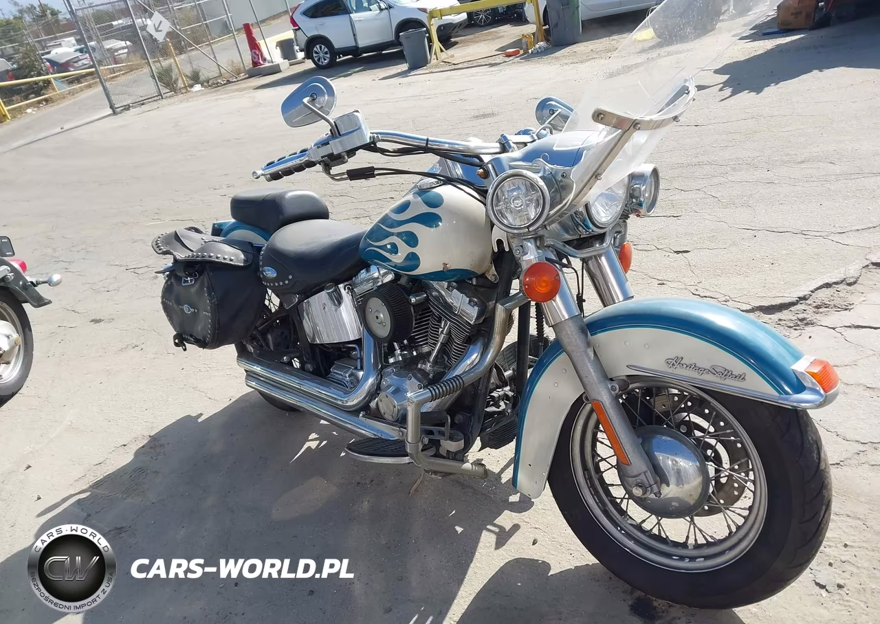 2001 Harley-Davidson Flstci