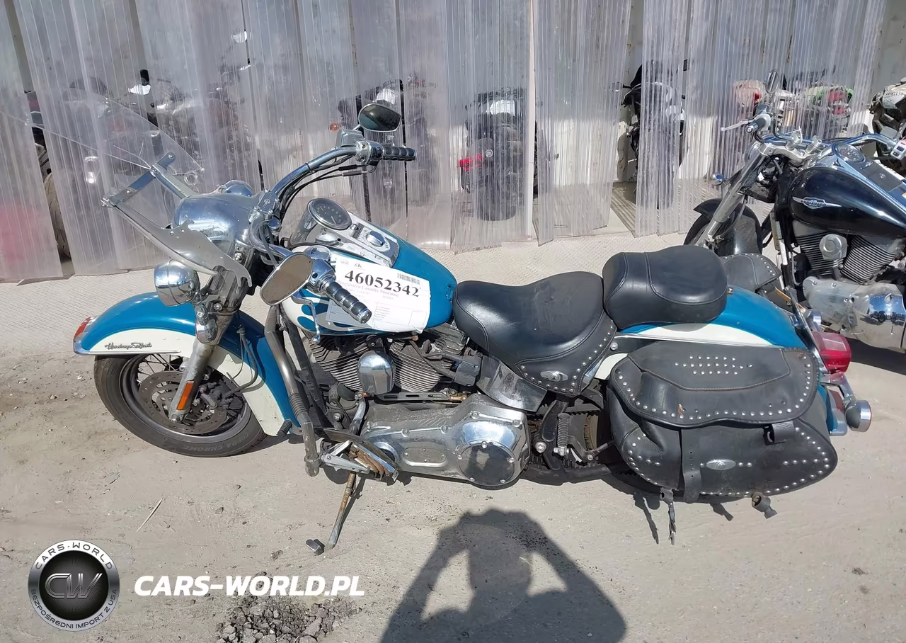 2001 Harley-Davidson Flstci VIN:1HD1BWB351Y080793 - 12