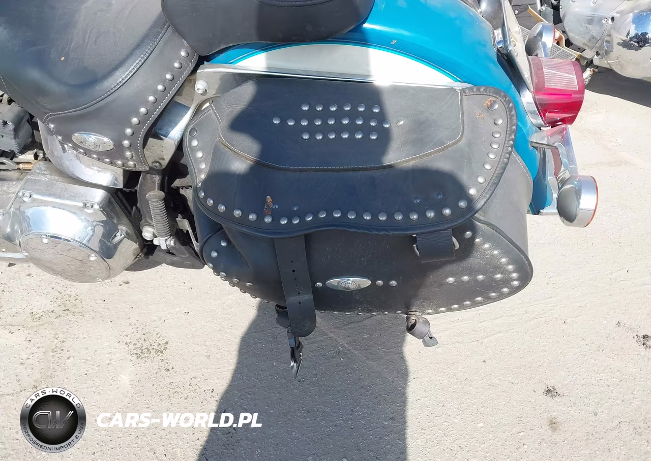 2001 Harley-Davidson Flstci VIN:1HD1BWB351Y080793 - 13