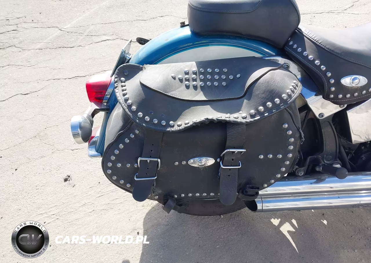 2001 Harley-Davidson Flstci VIN:1HD1BWB351Y080793 - 14