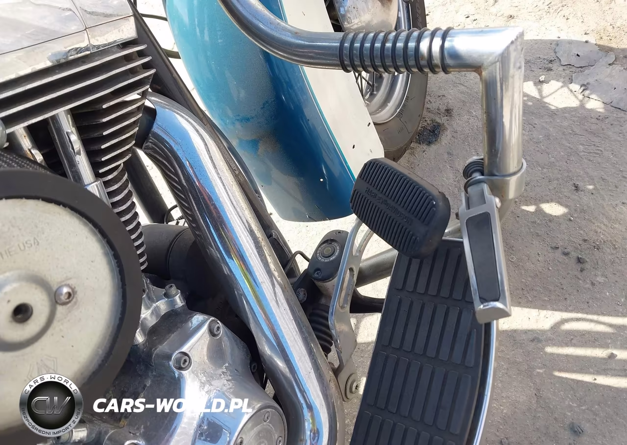2001 Harley-Davidson Flstci VIN:1HD1BWB351Y080793 - 15