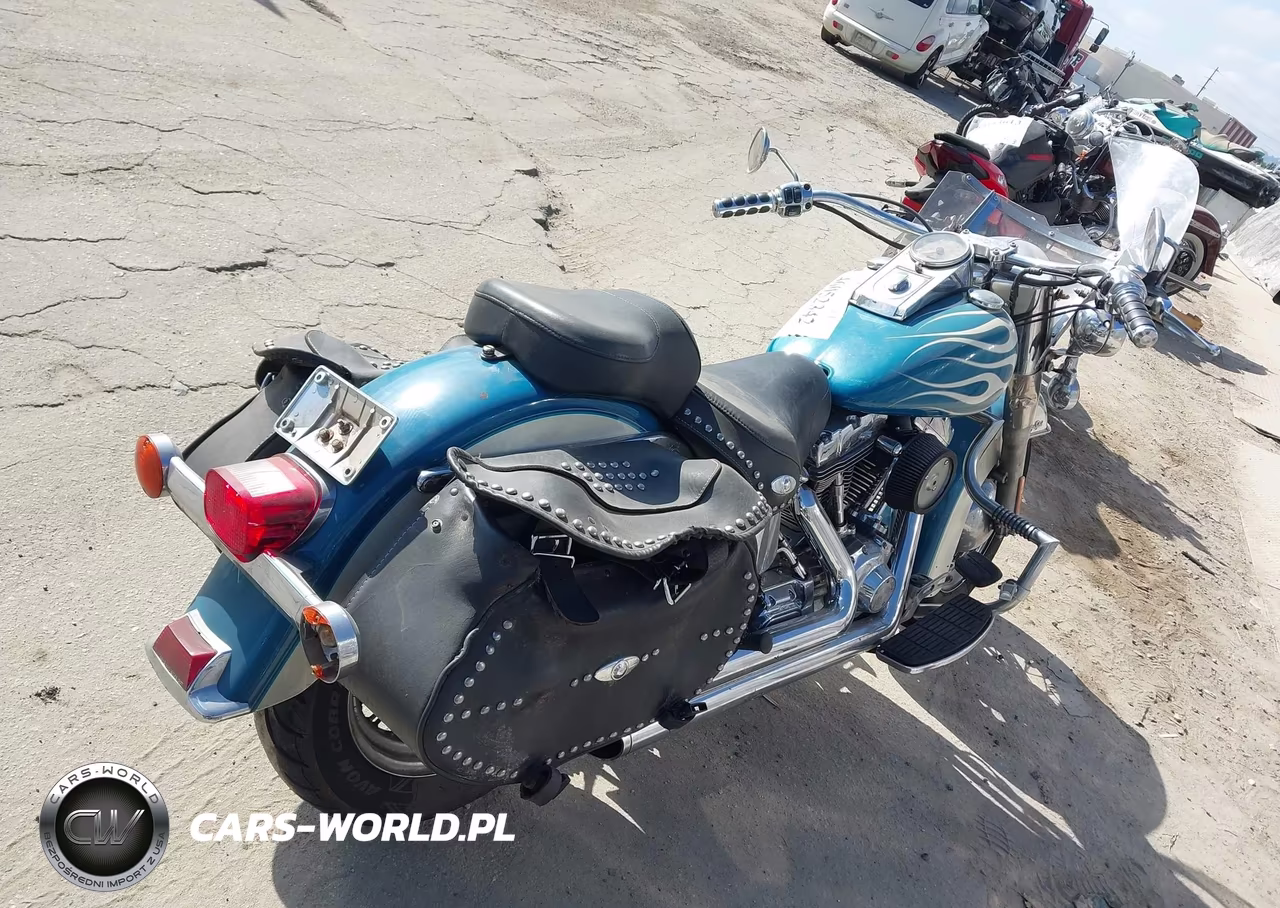 2001 Harley-Davidson Flstci VIN:1HD1BWB351Y080793 - 4