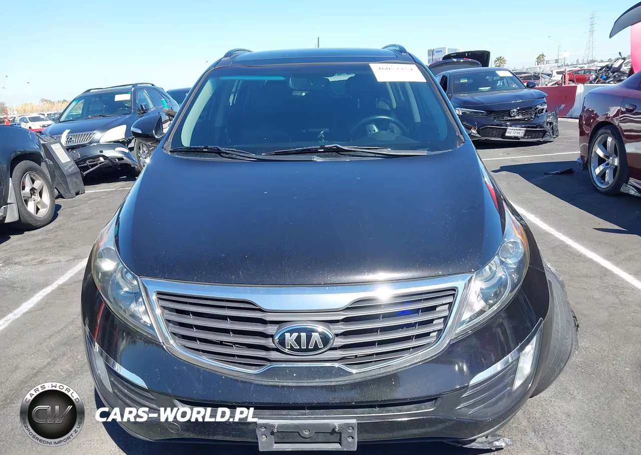 2013 Kia Sportage Ex VIN:KNDPC3A29D7487770 - 12