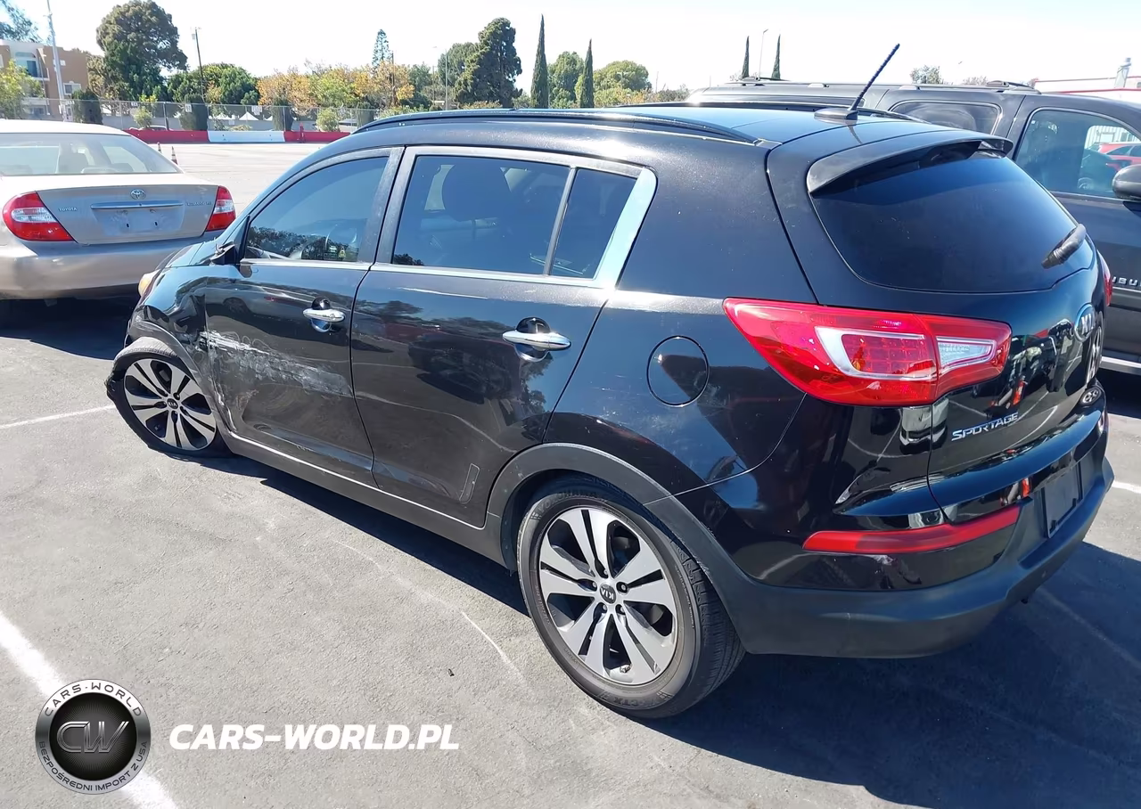 2013 Kia Sportage Ex VIN:KNDPC3A29D7487770 - 3