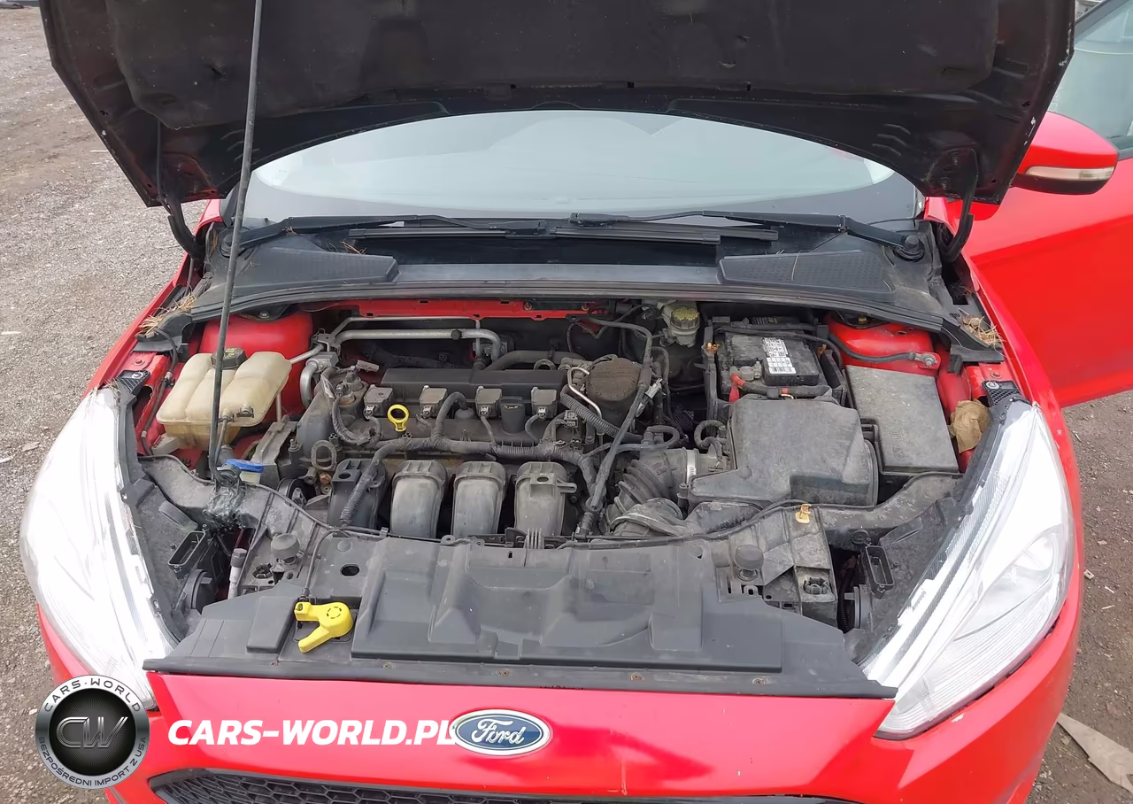 2015 Ford Focus Se VIN:1FADP3F28FL383254 - 10