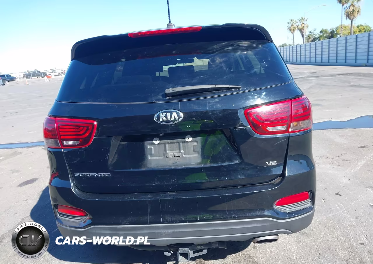 2019 Kia Sorento 3.3L Lx VIN:5XYPG4A5XKG489063 - 17