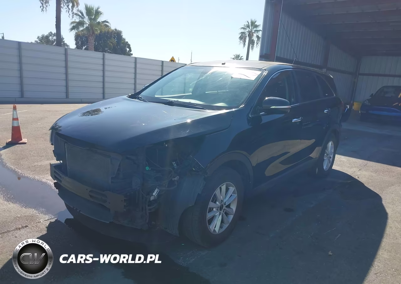2019 Kia Sorento 3.3L Lx VIN:5XYPG4A5XKG489063 - 2