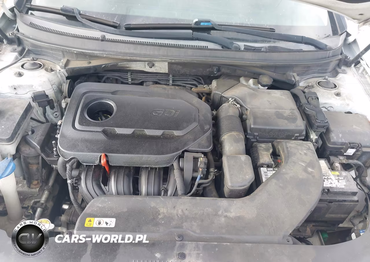 2016 Hyundai Sonata Sport VIN:5NPE34AF6GH400729 - 10