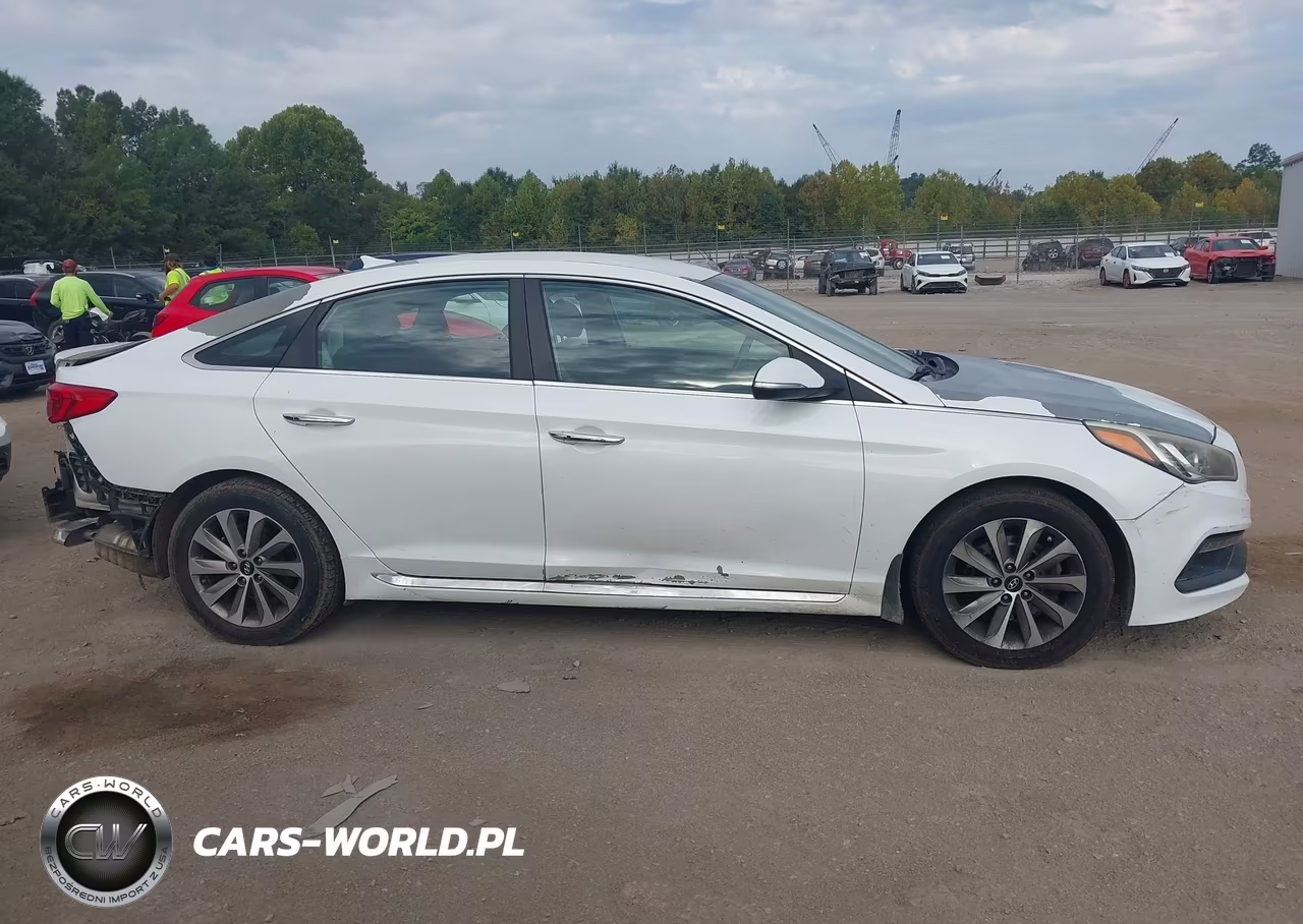 2016 Hyundai Sonata Sport VIN:5NPE34AF6GH400729 - 14
