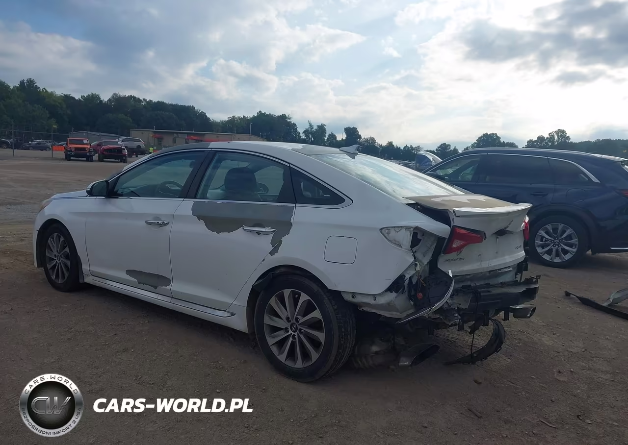 2016 Hyundai Sonata Sport VIN:5NPE34AF6GH400729 - 3