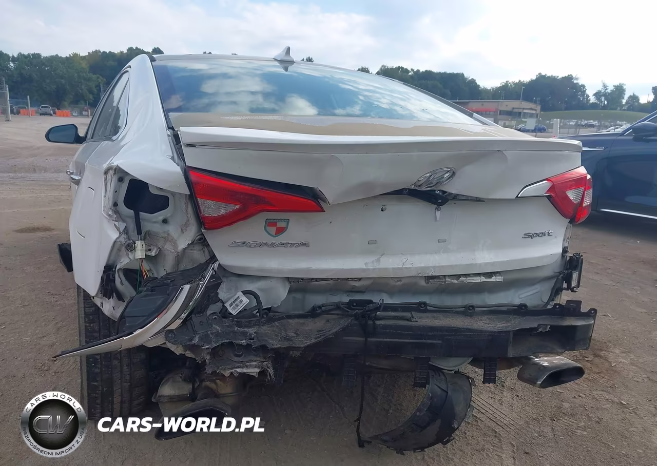 2016 Hyundai Sonata Sport VIN:5NPE34AF6GH400729 - 6