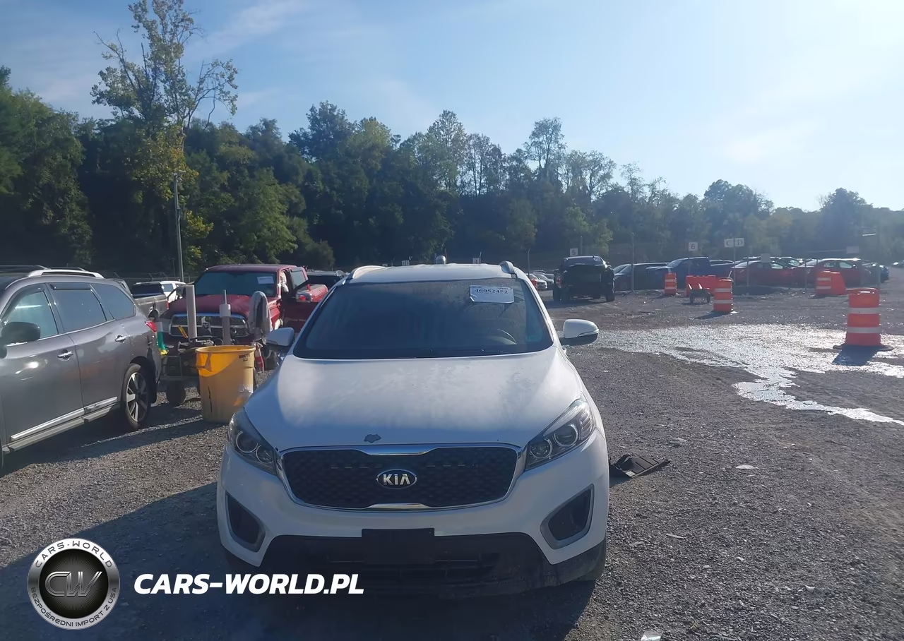 2018 Kia Sorento 3.3L Lx VIN:5XYPGDA51JG420888 - 12