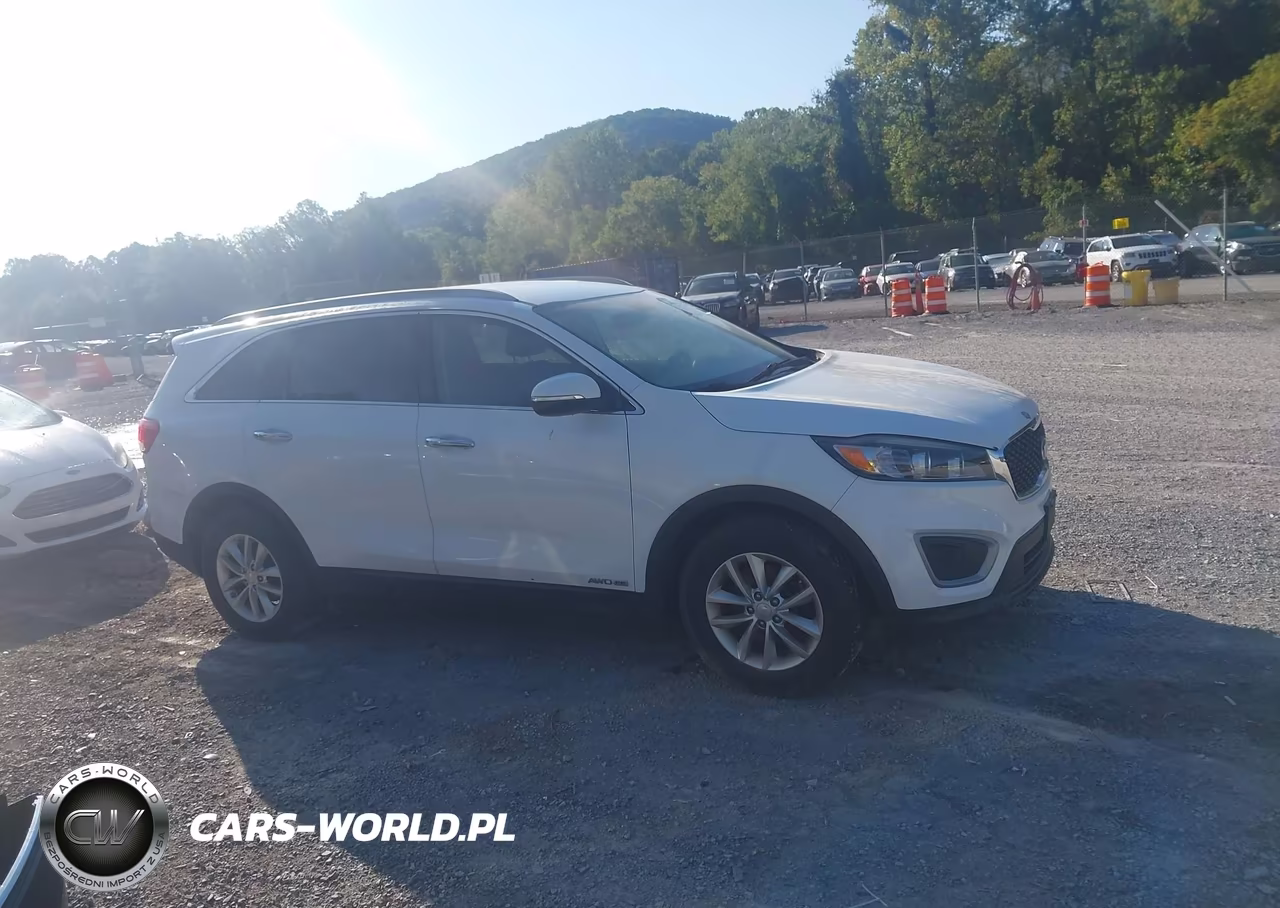 2018 Kia Sorento 3.3L Lx VIN:5XYPGDA51JG420888 - 13