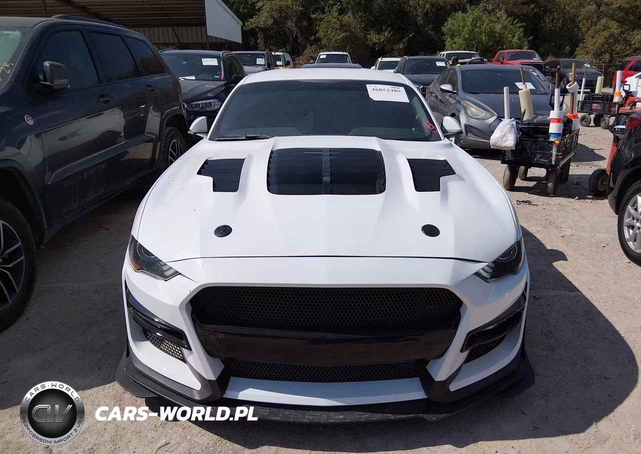 2019 Ford Mustang Gt Premium VIN:1FA6P8CF3K5150748 - 12
