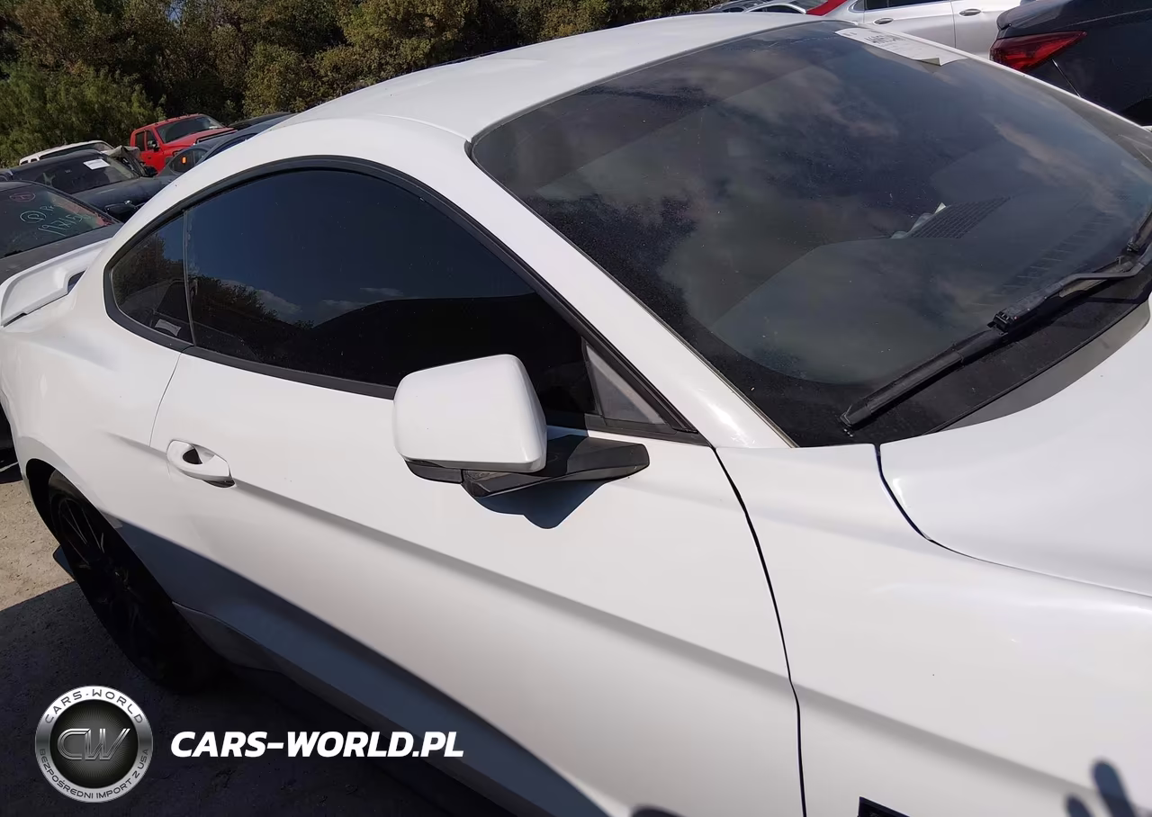 2019 Ford Mustang Gt Premium VIN:1FA6P8CF3K5150748 - 13