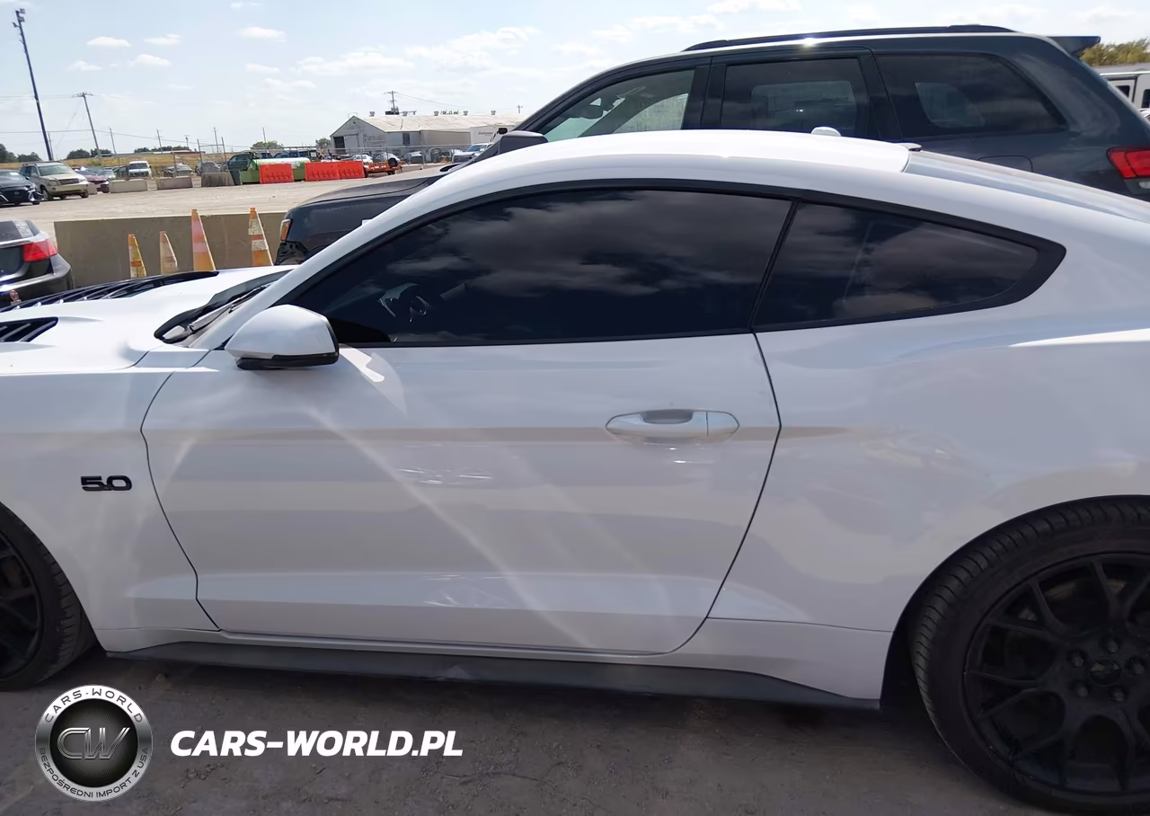 2019 Ford Mustang Gt Premium VIN:1FA6P8CF3K5150748 - 14
