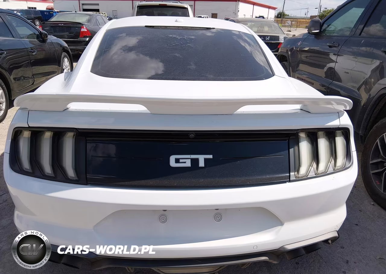 2019 Ford Mustang Gt Premium VIN:1FA6P8CF3K5150748 - 16