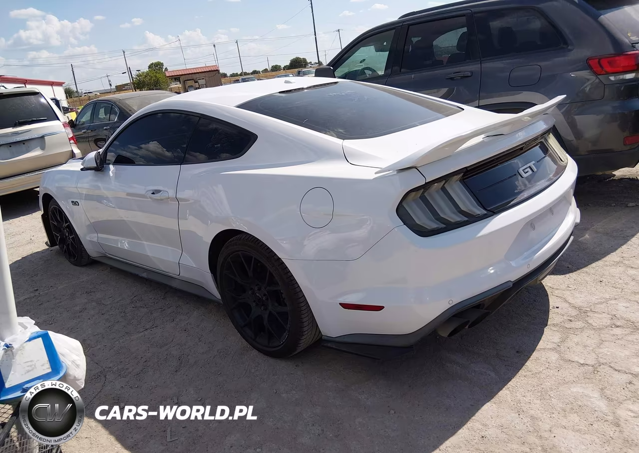 2019 Ford Mustang Gt Premium VIN:1FA6P8CF3K5150748 - 3