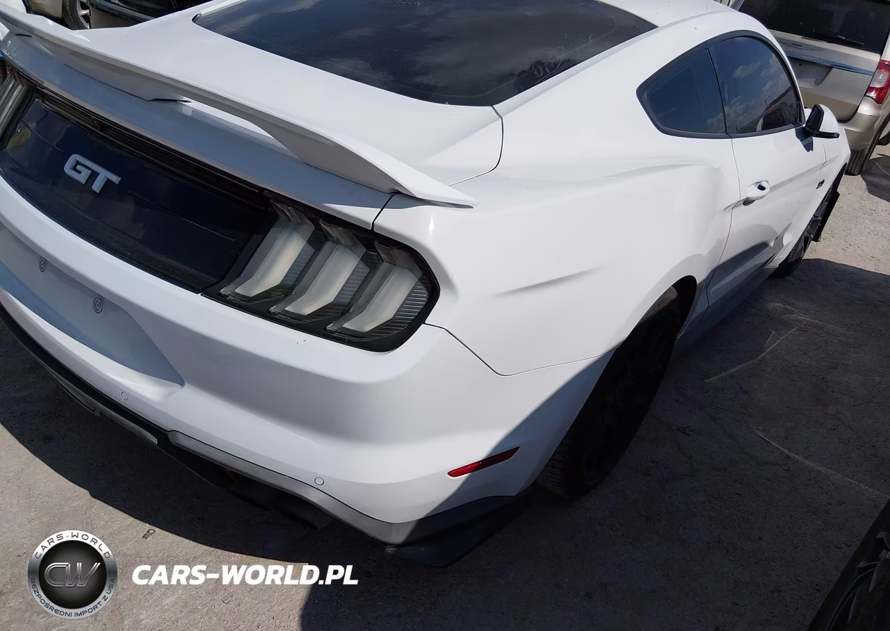 2019 Ford Mustang Gt Premium VIN:1FA6P8CF3K5150748 - 4