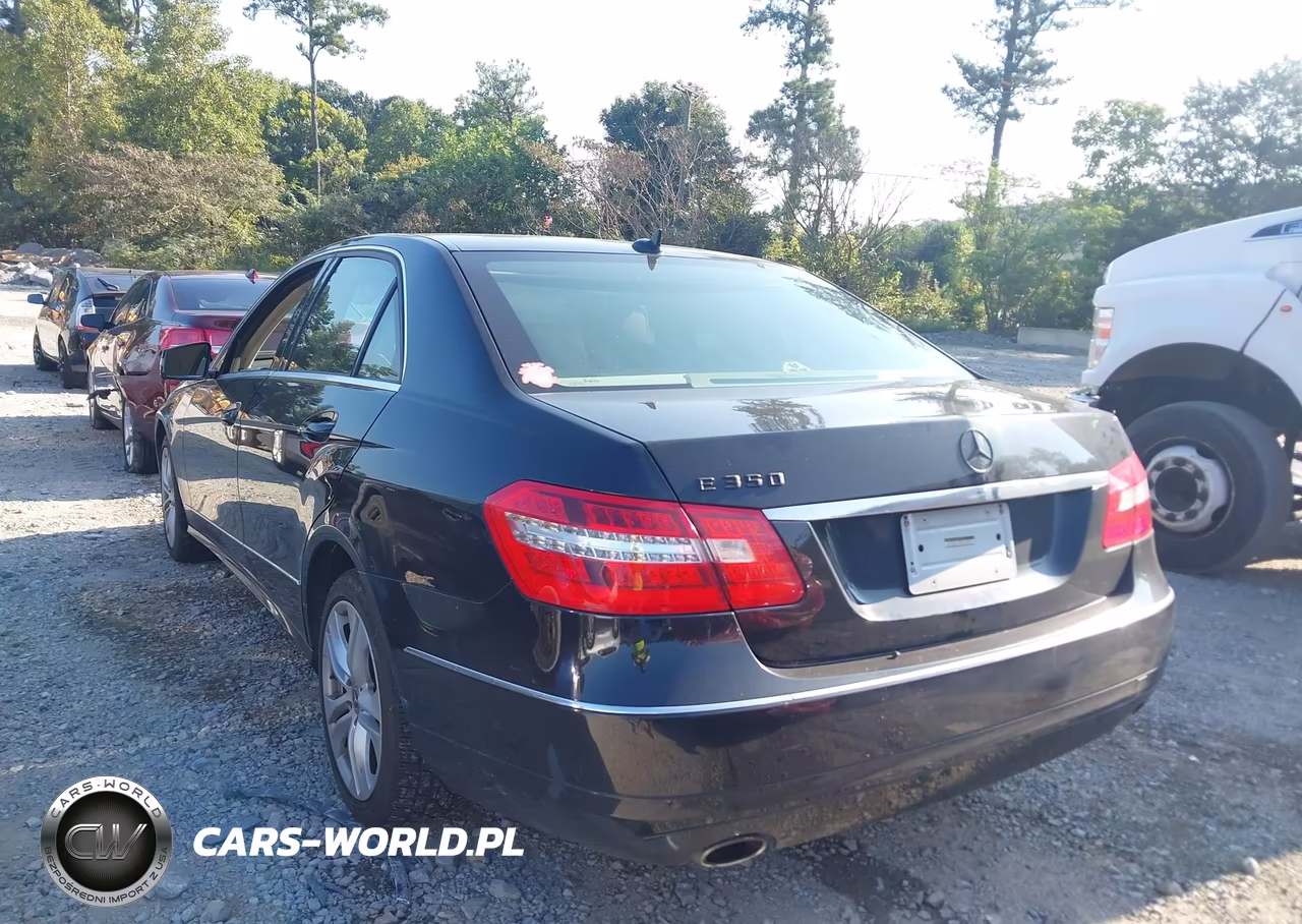 2010 Mercedes-Benz E 350 VIN:WDDHF5GB6AA246963 - 3