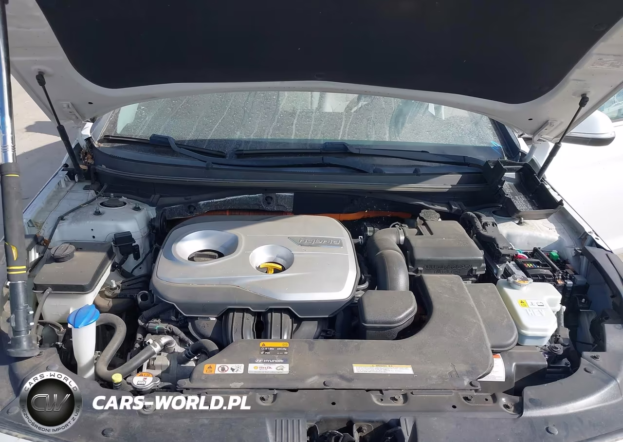 2017 Hyundai Sonata Plug-In Hybrid VIN:KMHE14L2XHA044774 - 10