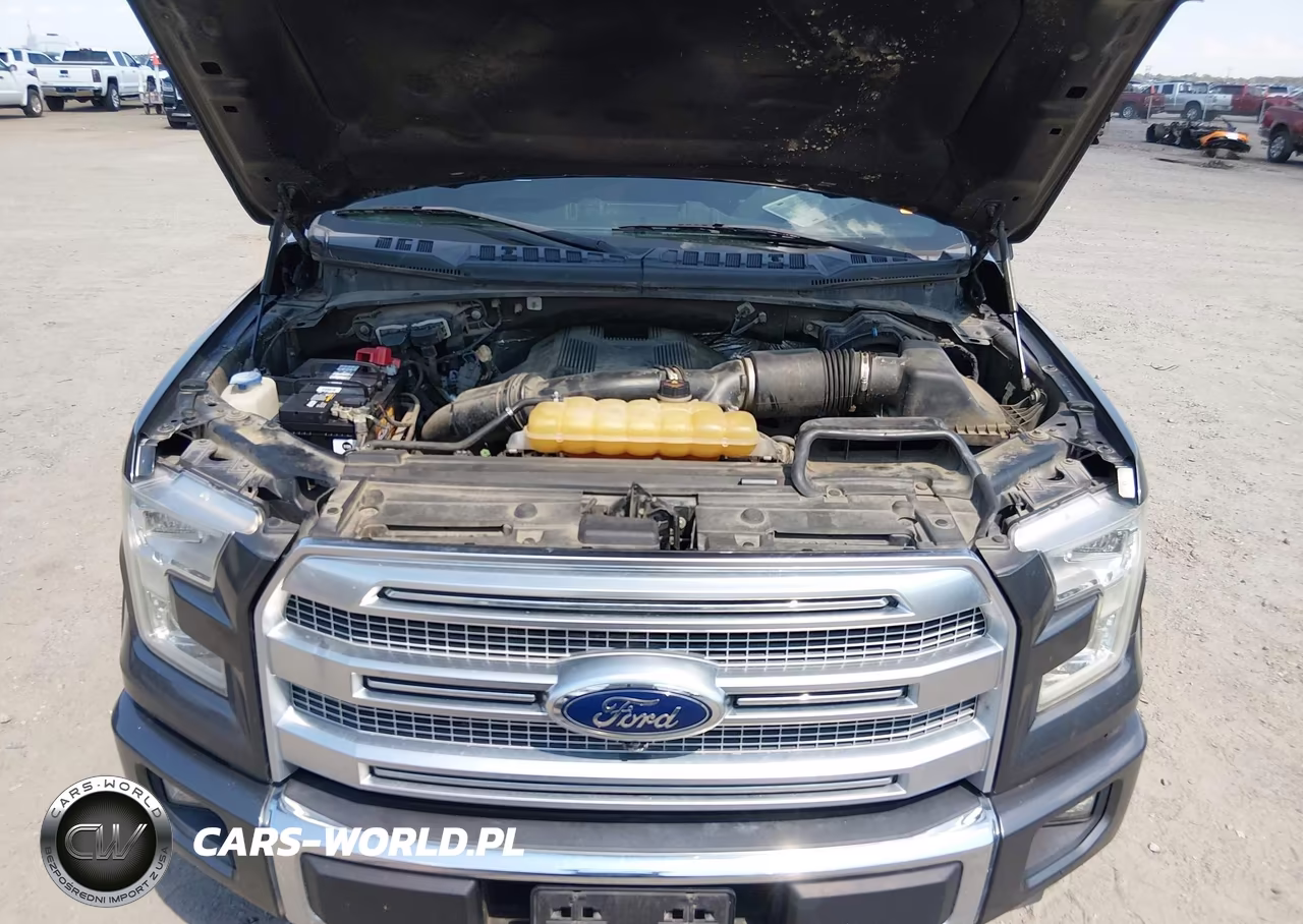 2017 Ford F-150 Platinum VIN:1FTEW1EG6HFA20410 - 10