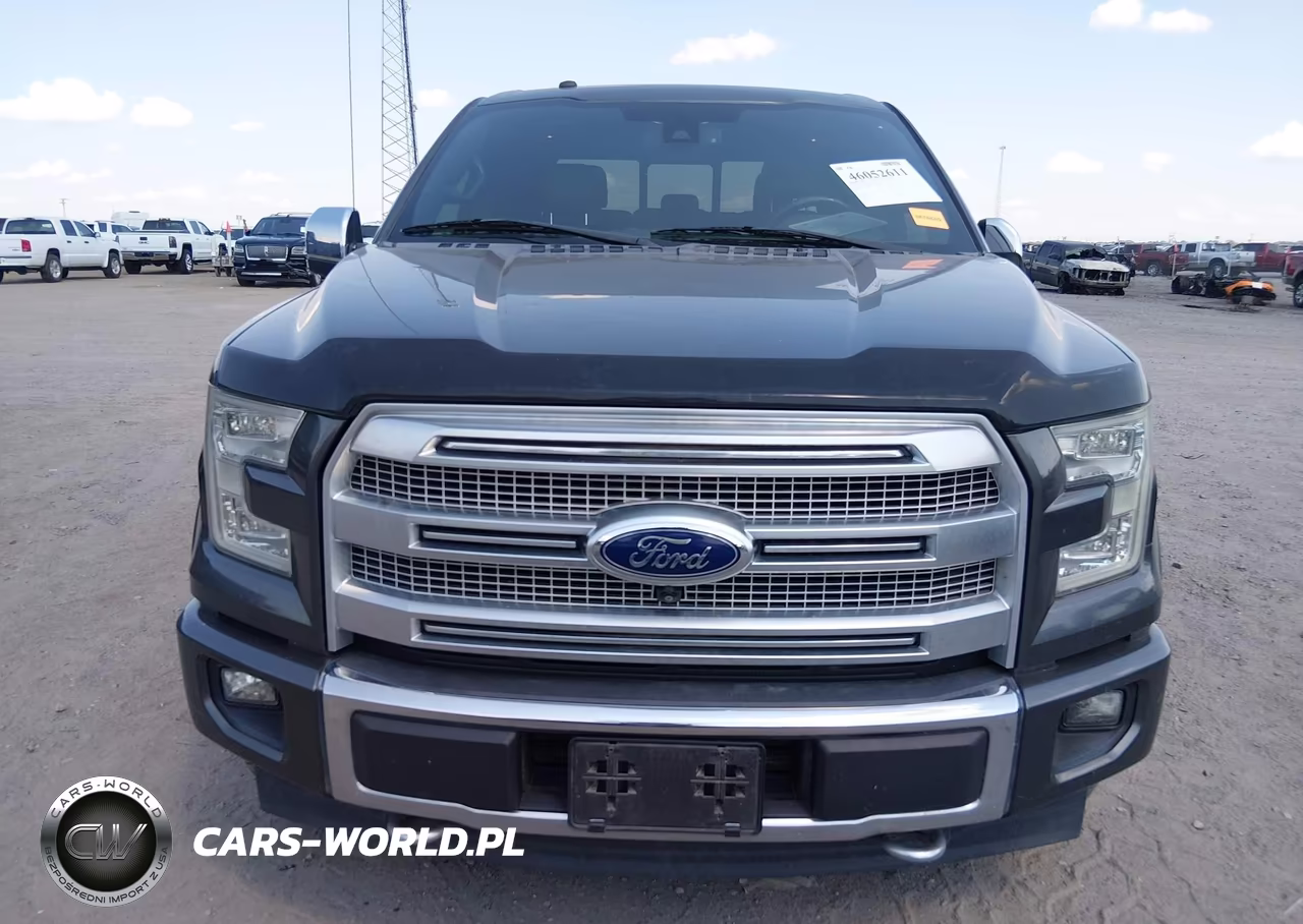 2017 Ford F-150 Platinum VIN:1FTEW1EG6HFA20410 - 12