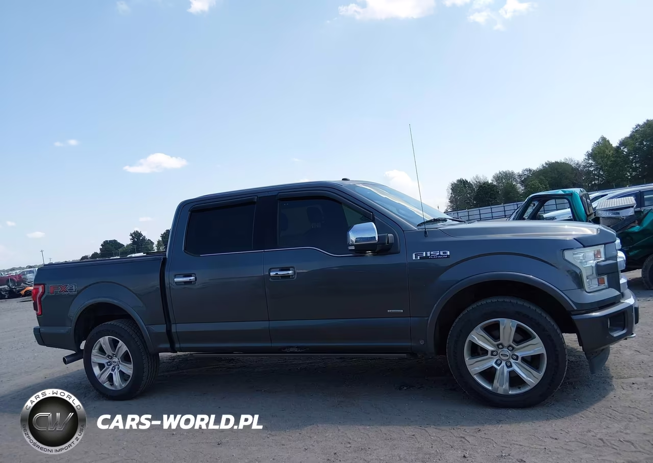 2017 Ford F-150 Platinum VIN:1FTEW1EG6HFA20410 - 13