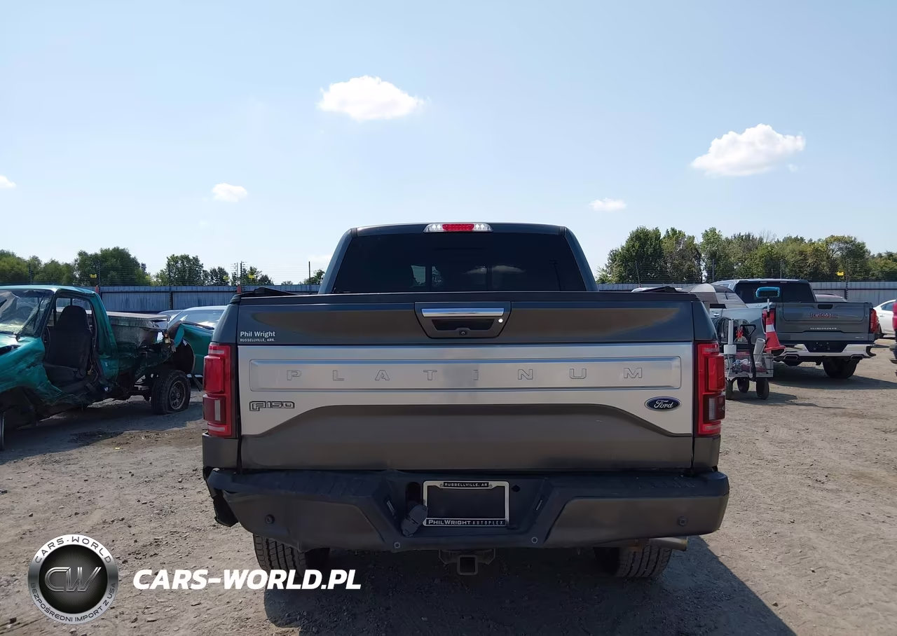 2017 Ford F-150 Platinum VIN:1FTEW1EG6HFA20410 - 16