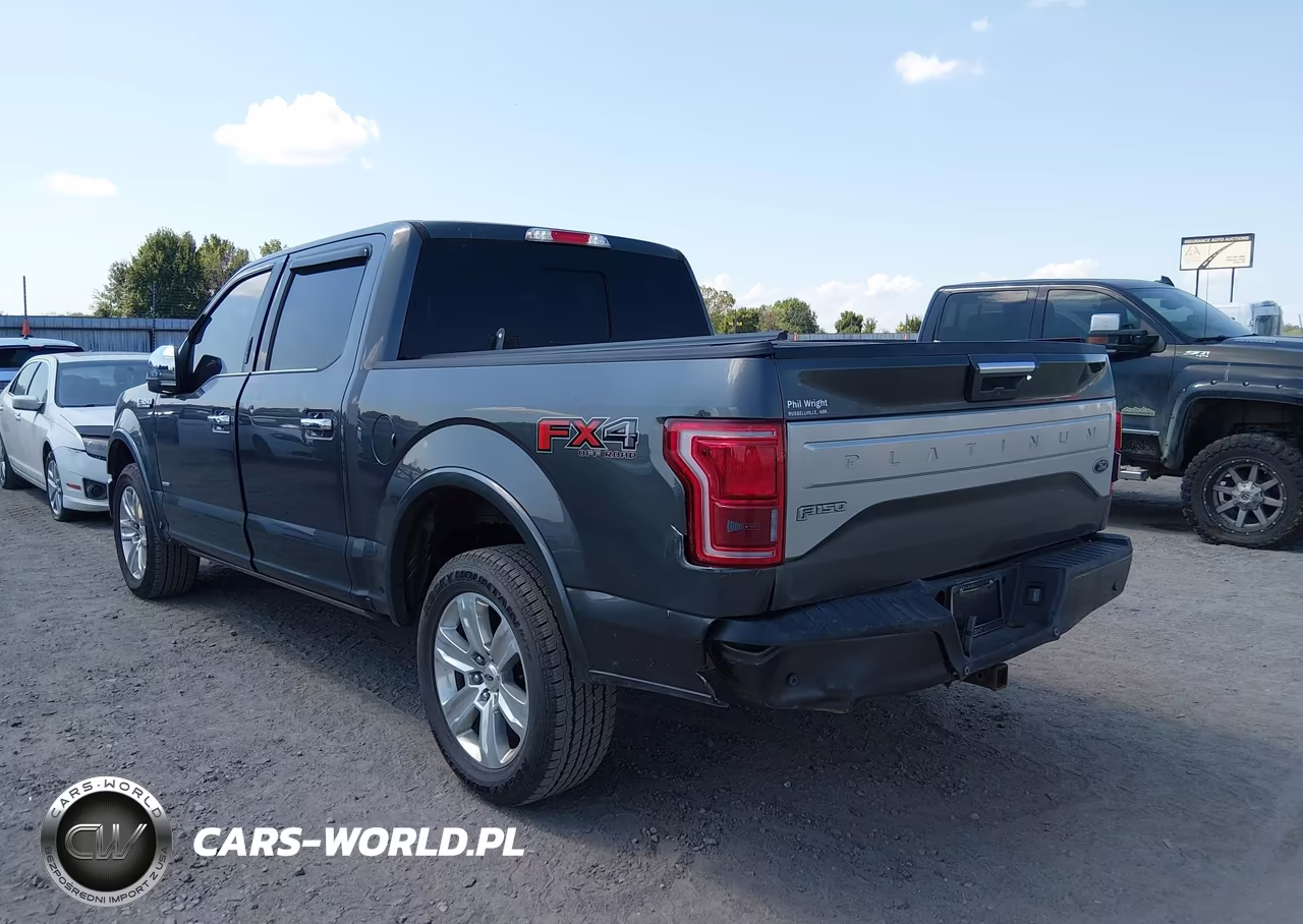 2017 Ford F-150 Platinum VIN:1FTEW1EG6HFA20410 - 3