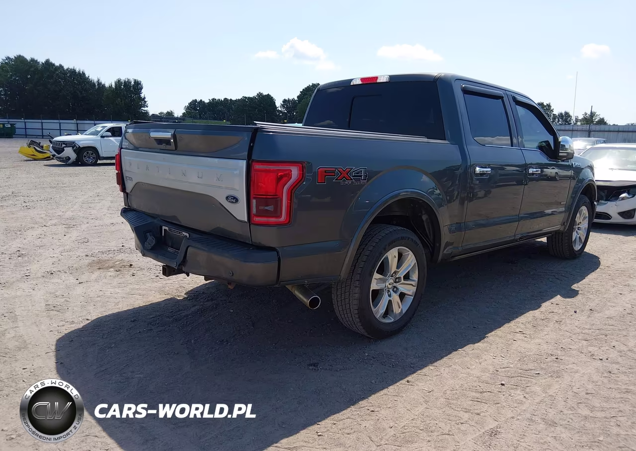 2017 Ford F-150 Platinum VIN:1FTEW1EG6HFA20410 - 4