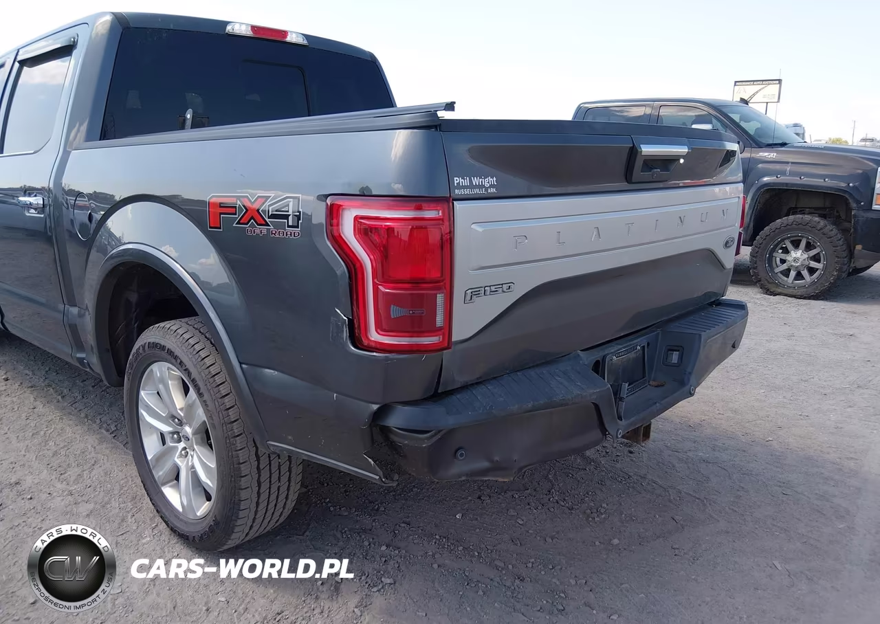 2017 Ford F-150 Platinum VIN:1FTEW1EG6HFA20410 - 6