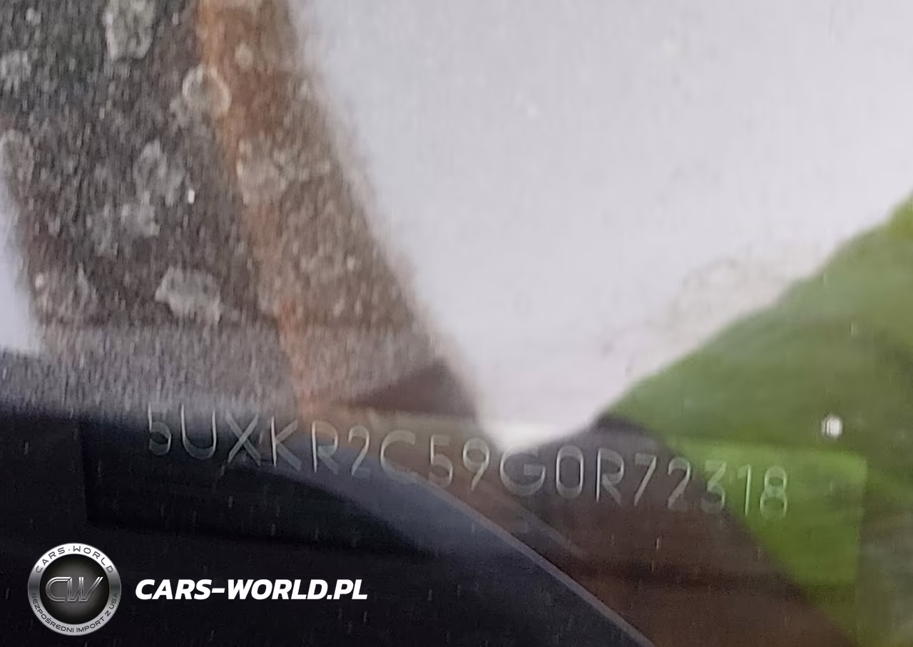 2016 BMW X5 Sdrive35I VIN:5UXKR2C59G0R72318 - 9