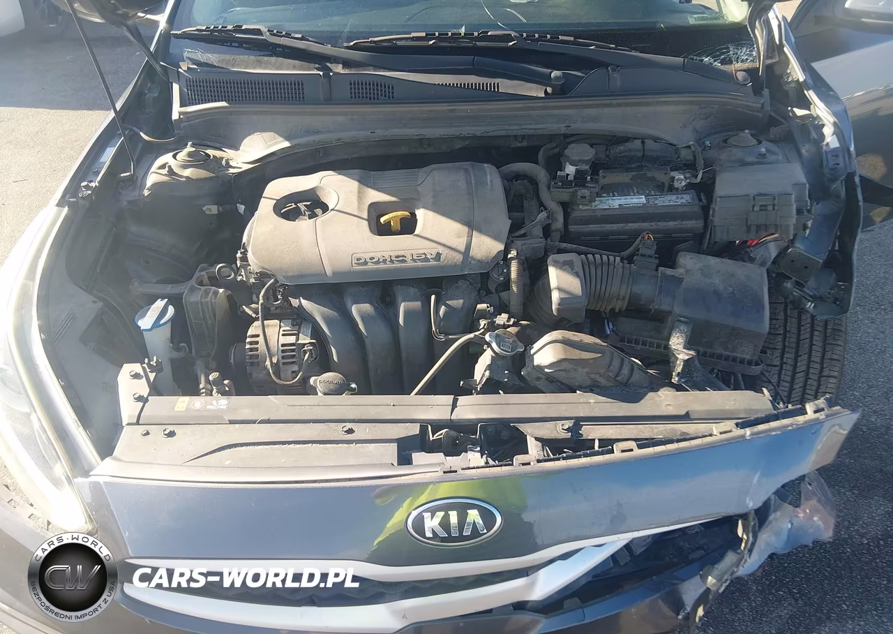2019 Kia Forte Fe VIN:3KPF24AD9KE076131 - 10