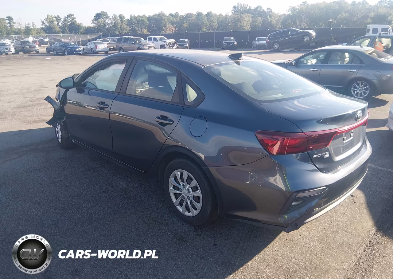 2019 Kia Forte Fe VIN:3KPF24AD9KE076131 - 3
