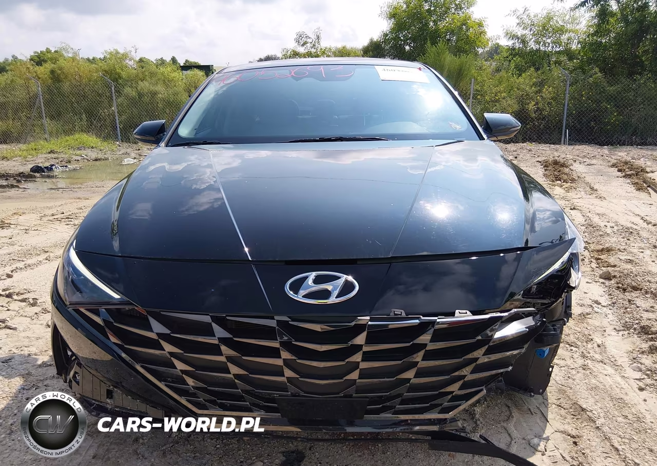 2023 Hyundai Elantra Hybrid Limited VIN:KMHLN4AJ7PU064600 - 12