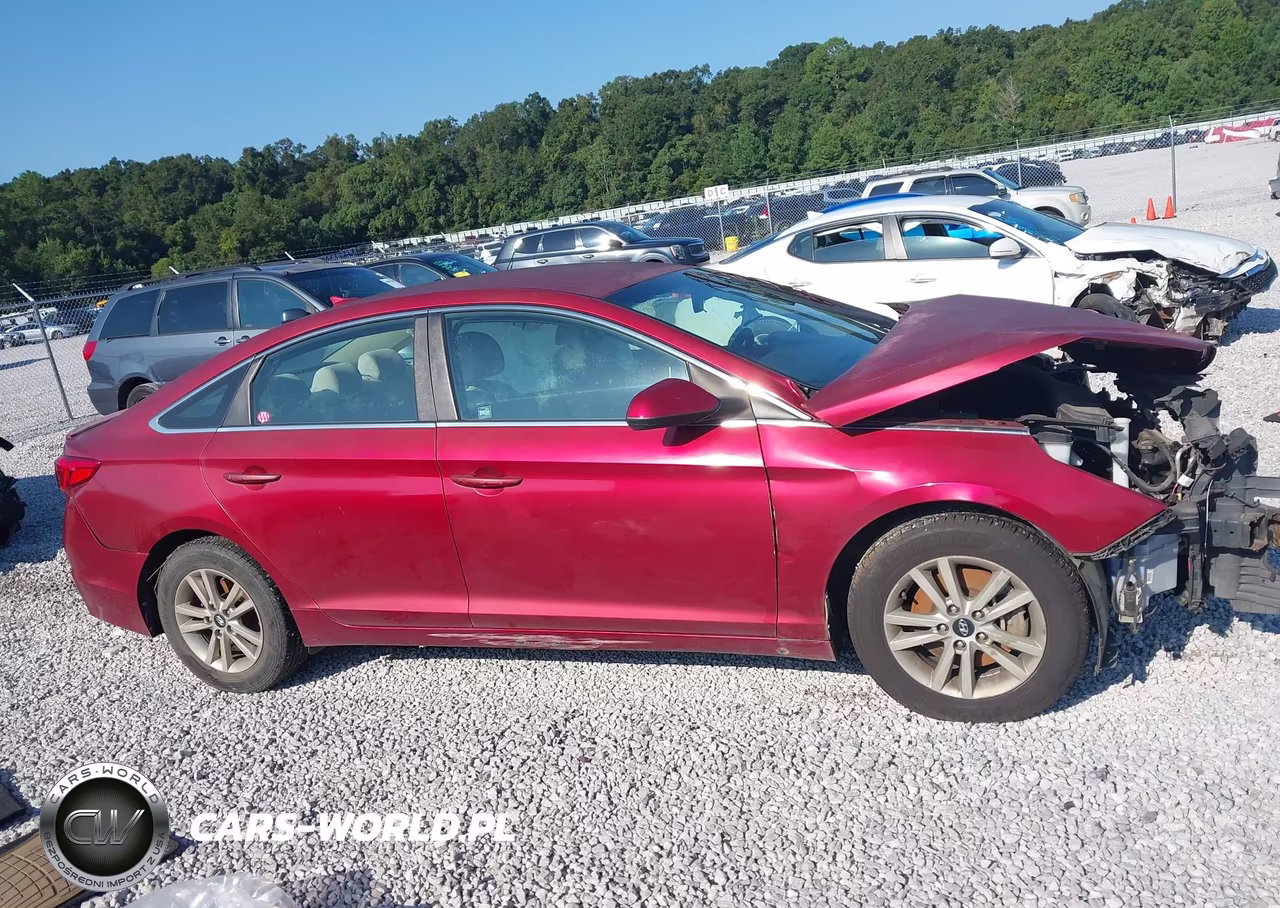 2016 Hyundai Sonata Se VIN:5NPE24AF2GH271231 - 13