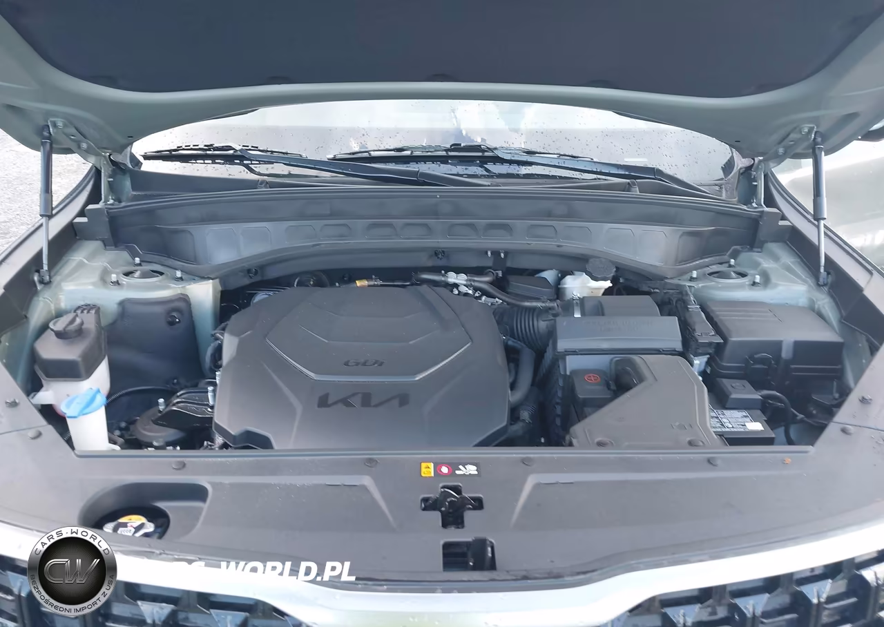 2023 Kia Telluride Sx X-Line VIN:5XYP5DGC1PG401570 - 10
