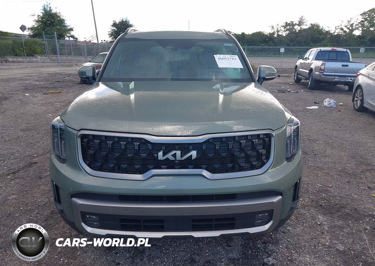 2023 Kia Telluride Sx X-Line VIN:5XYP5DGC1PG401570 - 12