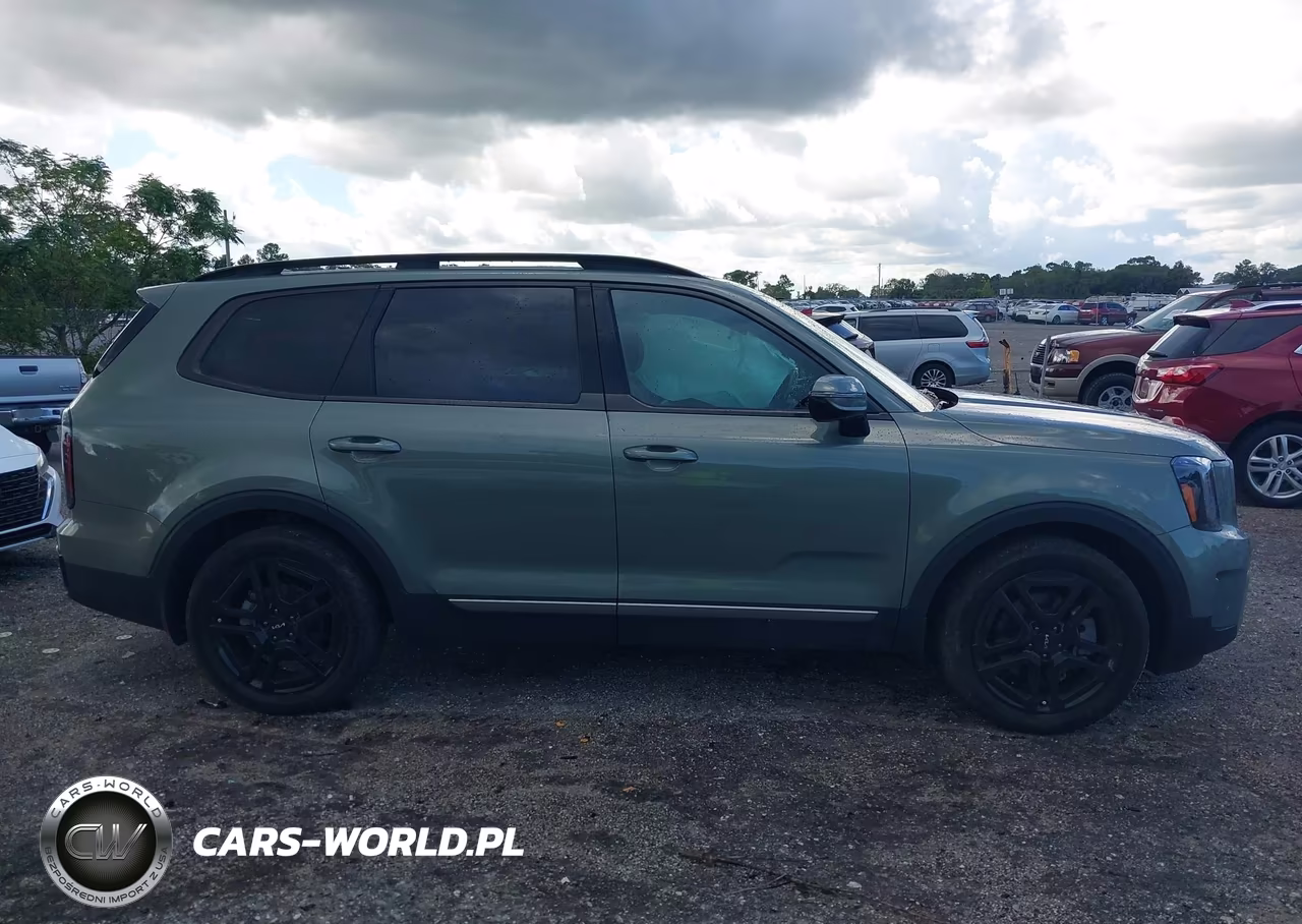 2023 Kia Telluride Sx X-Line VIN:5XYP5DGC1PG401570 - 13