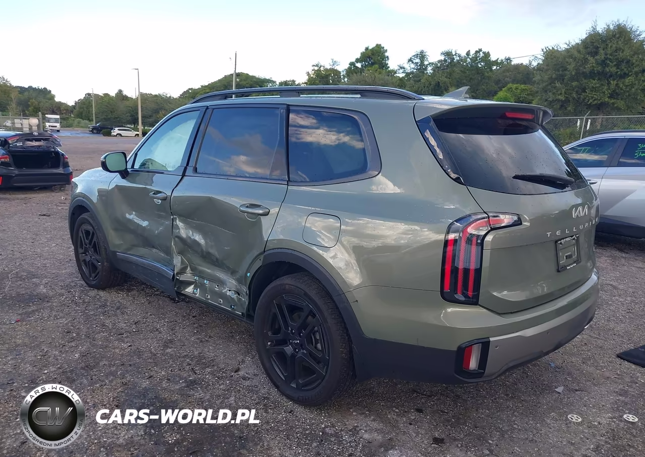 2023 Kia Telluride Sx X-Line VIN:5XYP5DGC1PG401570 - 3