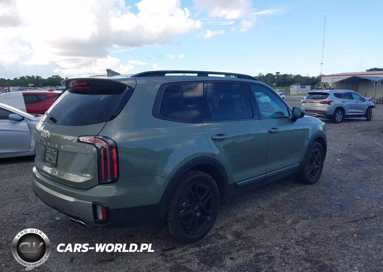 2023 Kia Telluride Sx X-Line VIN:5XYP5DGC1PG401570 - 4