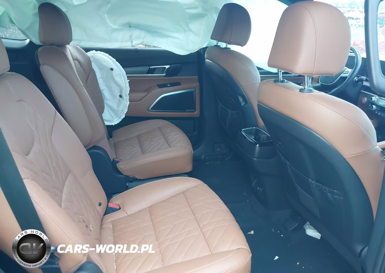 2023 Kia Telluride Sx X-Line VIN:5XYP5DGC1PG401570 - 8