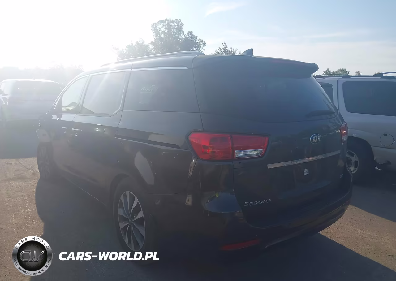 2015 Kia Sedona Sx VIN:KNDMC5C13F6038855 - 3