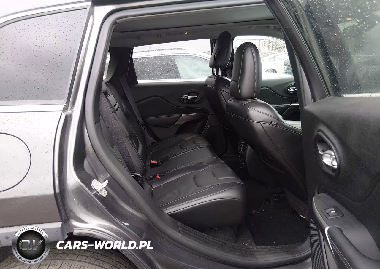 2019 Jeep Cherokee Limited 4X4 VIN:1C4PJMDXXKD402209 - 8