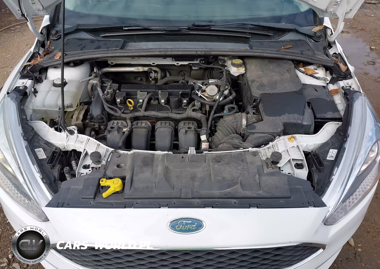 2018 Ford Focus Se VIN:1FADP3F25JL245583 - 10