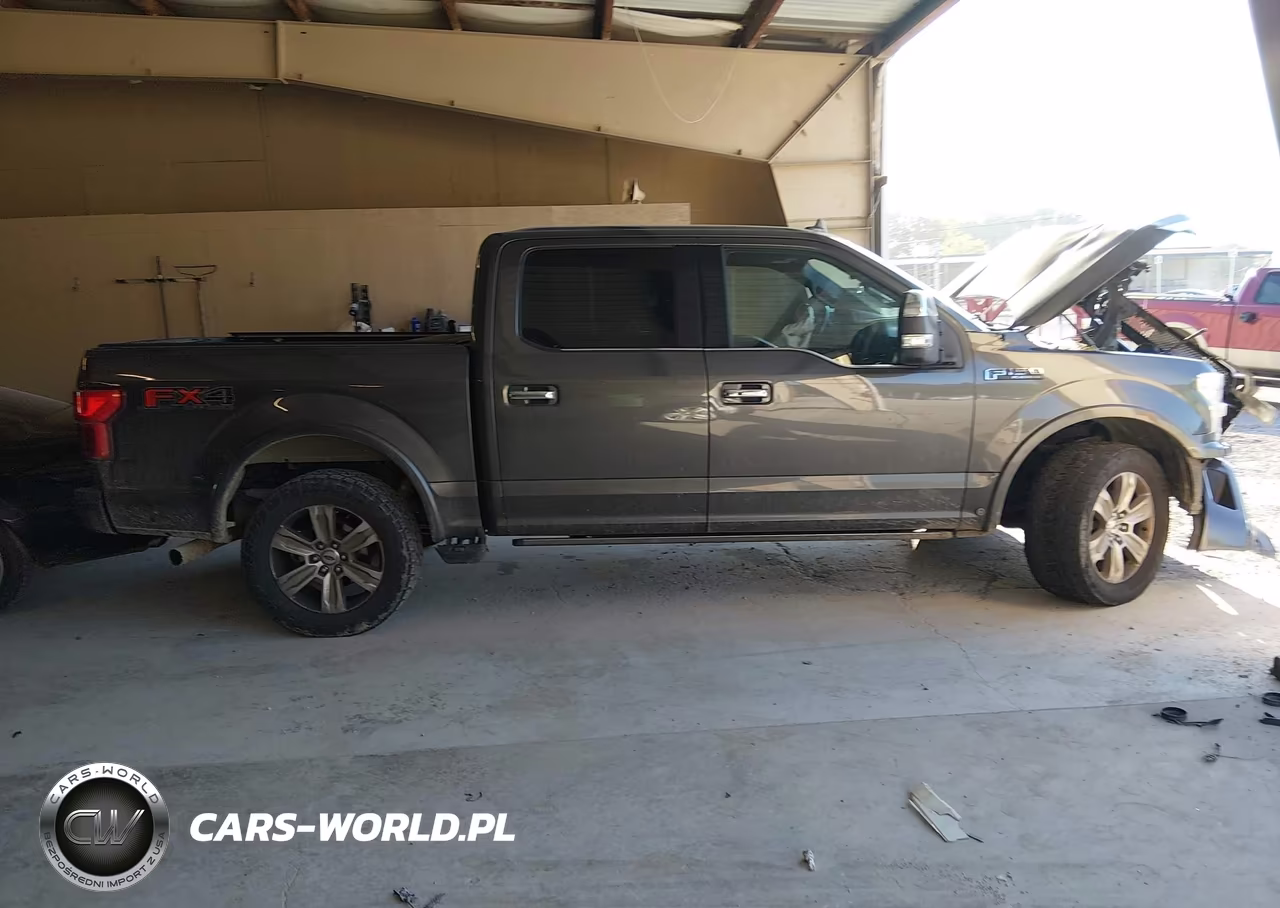 2018 Ford F-150 Platinum VIN:1FTEW1E55JFD10190 - 12